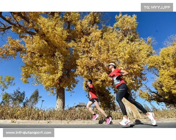 中国田协更新马拉松成绩排名系统，提供权威数据参考