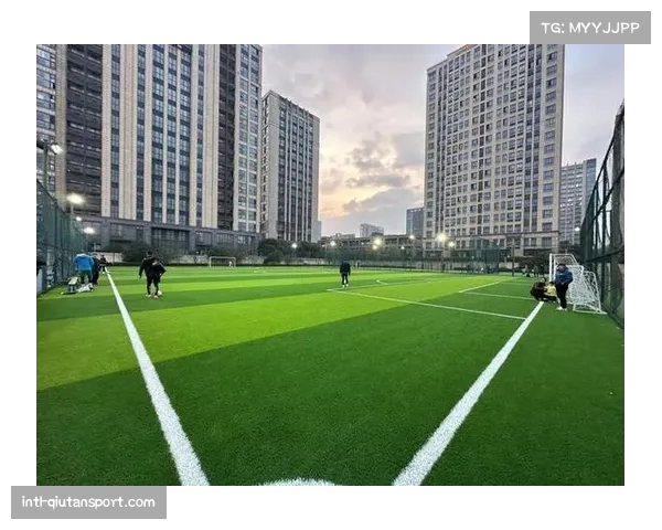 “英超遗产”项目启动，资助百个社区足球场翻新